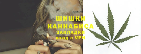 ECSTASY Осинники