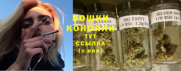 ECSTASY Осинники