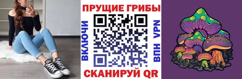 Псилоцибиновые грибы ЛСД  где купить наркотик  Стародуб 