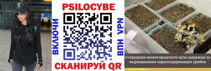 Псилоцибиновые грибы ЛСД Стародуб