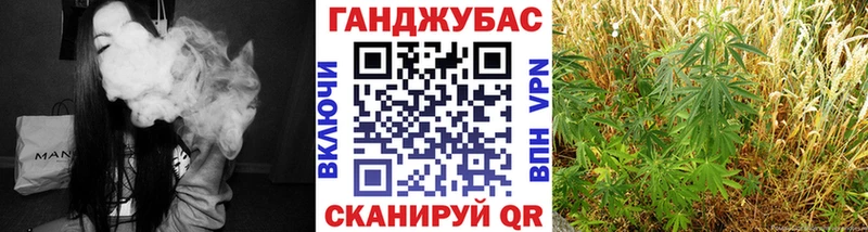 закладка  Стародуб  mega ссылки  Бошки марихуана Amnesia 